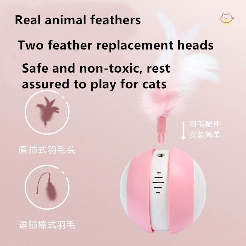 smart pet ball 