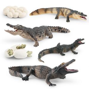 China Crocodile Alligator Life Cycle Figure Model Toy For Boys Girls Kids factory