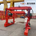 Metro Track laying crane, China good quality dt10t gantry crane, track laying