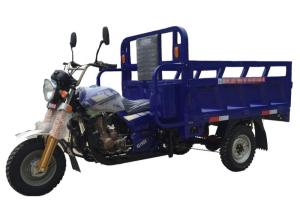 China 1000kg Benin Nigeria Petrol 150CC Cargo Tricycle factory