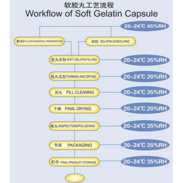 Vegan Encapsulation Machine