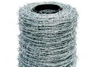 China Traditional Twisted Barbed Wire Barbs Light Duty High Tensile 5&quot; Barb Spacing factory