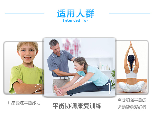 Workout Physiotherapy Rehabilitation Equipment Plastic Wobble Balance Board For Core Training