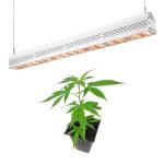 Waterproof LED Grow Lights Environmental Friendly