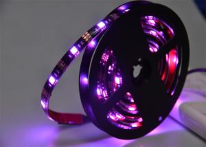 China 30leds/m RGBW LED Strip Light factory