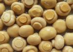 Brine Preservation Canned Champignon Mushroom For Catering