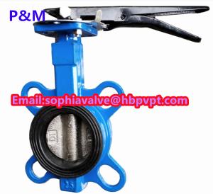 China DIN cast iron wafer butterfly valve with pin factory