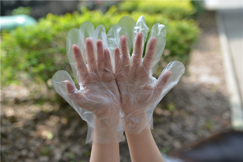 Clear Food Handling 1.0g/Piece Disposable Hdpe Gloves