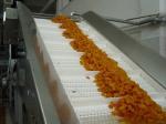 Food Grade Modular Belt Conveyor System