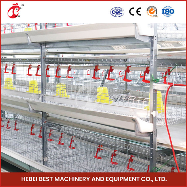 208 Chicks Battery Type Breeding Cage 1200mm Length With Automatic System Emily