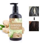 Herbal Beauty Hair Shampoo Dandruff Hair Loss Hair Growth Ginger Shampoo