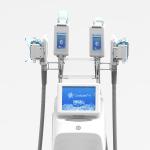 Beauty Salon Mini Cryolipolysis Fat Freezing Machine