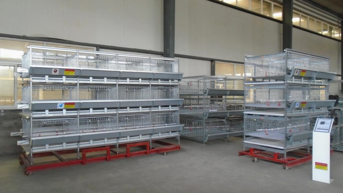 H Type 500cm2 Meat Chicken Cage , ISO9001 3/4 Tiers Broiler Poultry Equipment