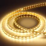 5M Length 12V Flexible 2835 Led Strip Lights 60 Led / M Tape IP20 Waterproof