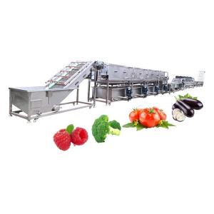 China Multifunction Mesh Belt Conveying Fruits Mushroom Vegetable Processing Line factory