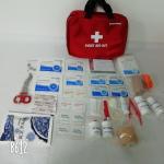 Family Travel First Aid Kit Essentials For Travelling Animal Road Hiking Dog