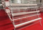Hot Dipped Galvanized Steel Welded H Type Battery Cages For Broilers