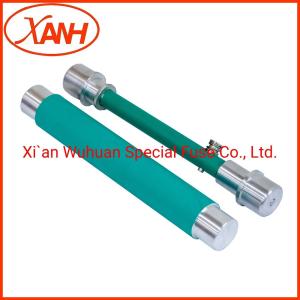 China Oil Transformer RTE Bayonet Fuses Overcurrent Protection Prnt4-24/6.3 factory