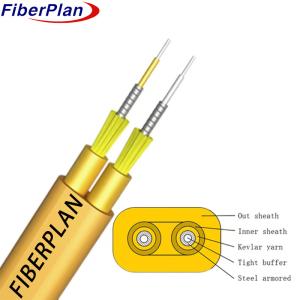 China Flat Twin Duplex Single Multi Mode Armored Indoor Optical Cable GJFJBV factory