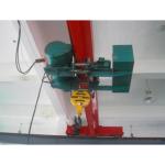 250kg 500 Kg Chain Electric Crane Hoist With Trolley