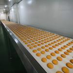 Biscuit Production Line Flat Belt Conveyor 0.4kW - 22kW Power High Efficiency