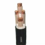 25mm2 Copper XLPE Insulated Armoured Electric Cable for Construction Implementat