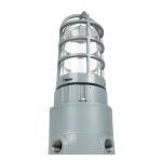 Explosion Proof Light 10W 20W 30W 40W 5 Years Warranty Light Weight Explosion
