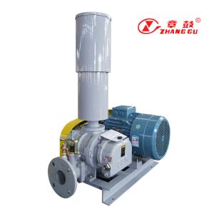 China High Performance Roots Vacuum Pump For Industrial Environments Max Vacuum -44kpa factory