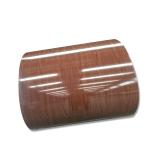 ASTM A755 Custom Color Coated Steel Coil Prepainted Galvanized Steel