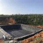 Industrial Design Style 250Mic Black Polyethylene Film HDPE Geomembrane Sheet