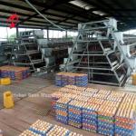 Full Automatic Layer Chicken Cage Commercial Chicken Battery Cage System CE