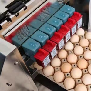 Six Nozzle Automatic Egg Spray Coding Machine Printing