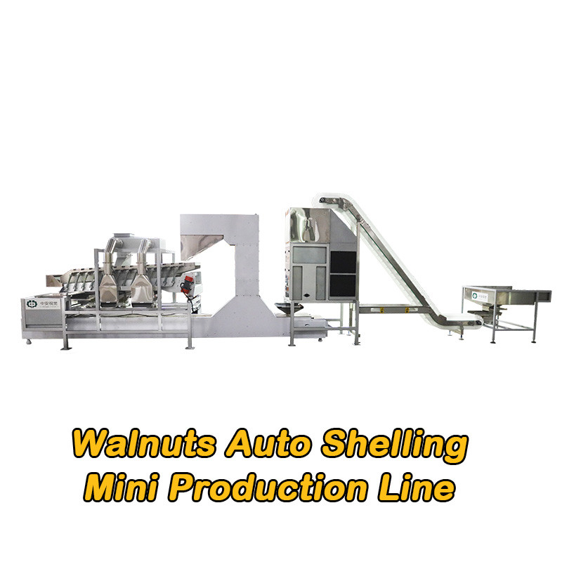 China Mini Automatical Kernel Shell Walnut Shelling Machine Large Capacity factory