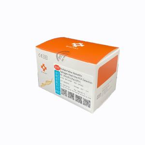 China FeLV Fluorescent RT PCR Kit Test Feline Stomatitis Cat DNA Kit FIV factory