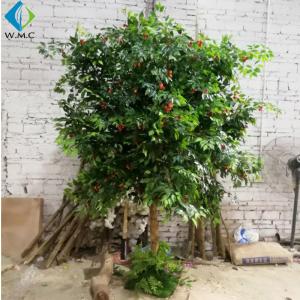 China 2.5m Height Artificial Fruit Tree , Litchi Fruit Tree For Rainforest Landscaping Decoration factory