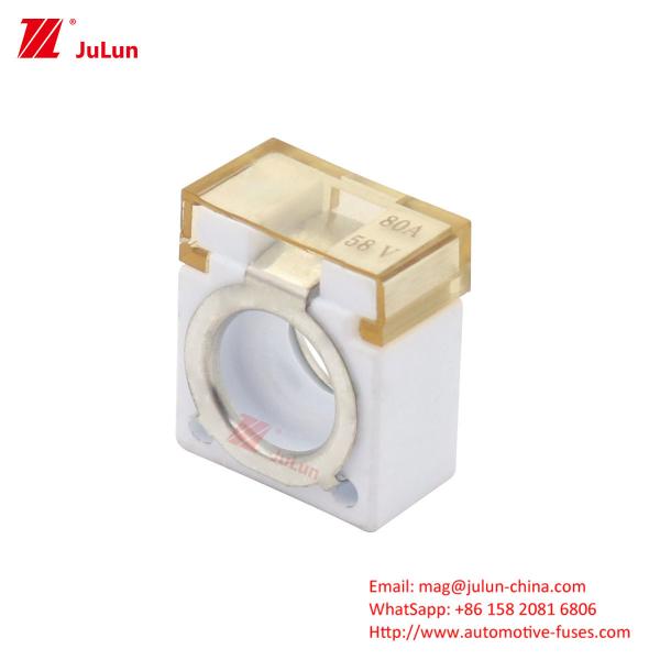 Electric Vehicle Fuse Safety Voltage -55-125°C Operating Temp. Range Protection
