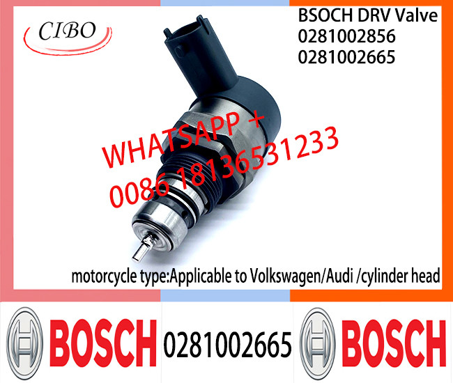 BOSCH DRV Valve 0281002665 Control Valve 0281002665 For Applicable to Volkswagen/Audi | cylinder head|