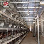 4Tier Chicken Layer Battery Cage Poultry Farming , 192 Birds SGS Poultry Farming