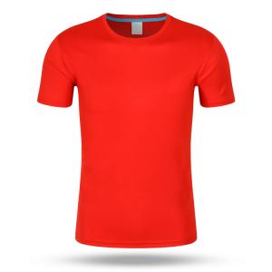 China Custom 200gsm Athletic Regular Fit Quick Dry Tee 100% Polyester factory