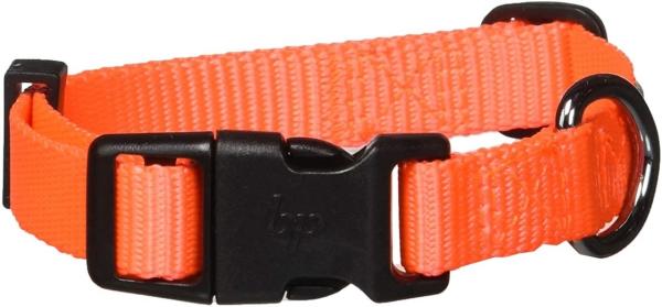 Solid Color Heavy Duty Martingale Collar Eco Friendly Adjustable Nylon Dog