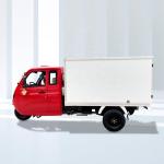 3 Wheels Motorized Tricycle 1000W 12V 120Ah Saint Cargo Tricycle for Other
