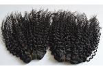 5A Virgin Brazilian Hair Deep Culy Hair , 100% Human Hair Extensions