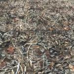 Outdoor Camo Netting Fabric Mesh multispectral camouflage net 20*20 Camouflage