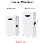 5kwh 10kwh 48V Solar Battery Lifepo4 100ah 200ah Wall Mount Lithium Battery