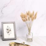 Wholesale Price Preserved Flower Dried Rabbit Tail Grass Decorative Flowers