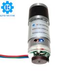 Micro High Torque Low Rpm 22mm 28mm 32mm Dc 6v 12v 24v Planetary Gear Motor