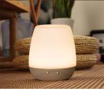 Ceramic 15ml/H Aromatherapy Essential Oil Diffuser 180ml