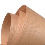 Factory Sales Red Oak Wood Veneer 0.45mm Red Oak Veneer for Flooring Wood Veneer