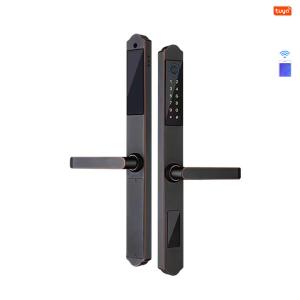 China TuyaSmart Waterproof Door Lock WiFi Double Side Fingerprint Smart Lock factory