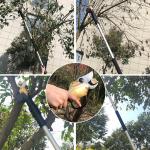 Swansoft 30mm 36V Telescopic Fruit Electric Pruning Shears Electric Pruning